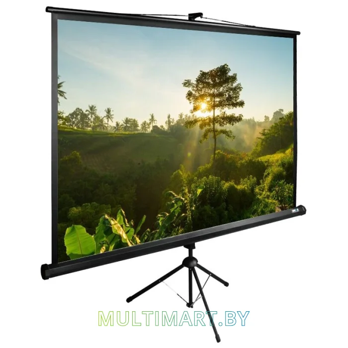 Проекционный экран CACTUS TriExpert 200x200 (CS-PSTE-200х200-BK)